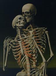kärleksfulla skelett