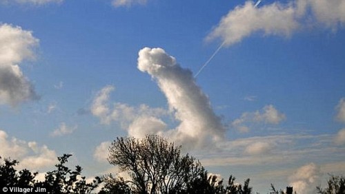 Penis Cloud 2