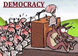 Democracy_20140112_Democracy