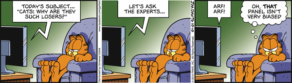 ga151010 Garfield experter